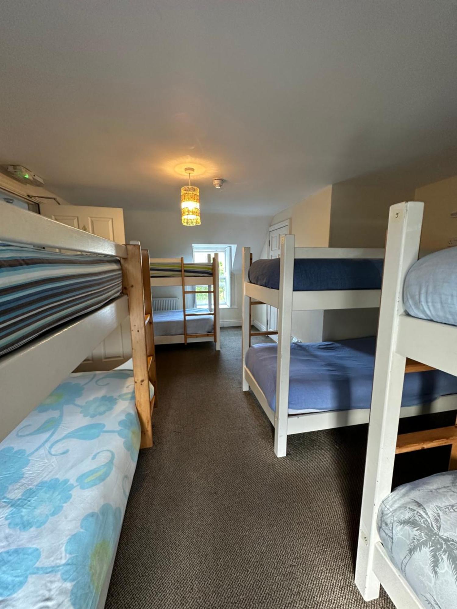 The Grapevine Hostel Дингл Экстерьер фото